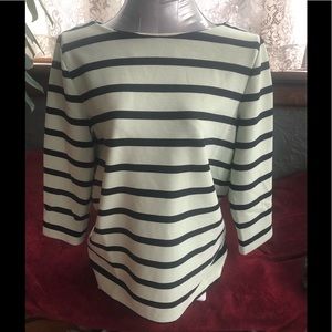 Ann Taylor Striped Long Sleeve Top